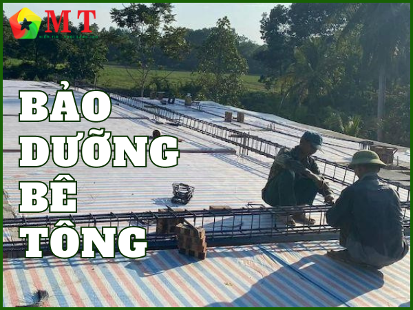 Kinh nghiệm bảo dưỡng bê tông tốt nhất hiện nay mà bạn cần biết 