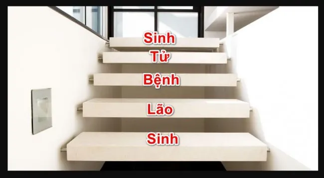 Một chiếc cầu thang có số bậc đẹp theo phong thủy